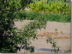 G7-140mm